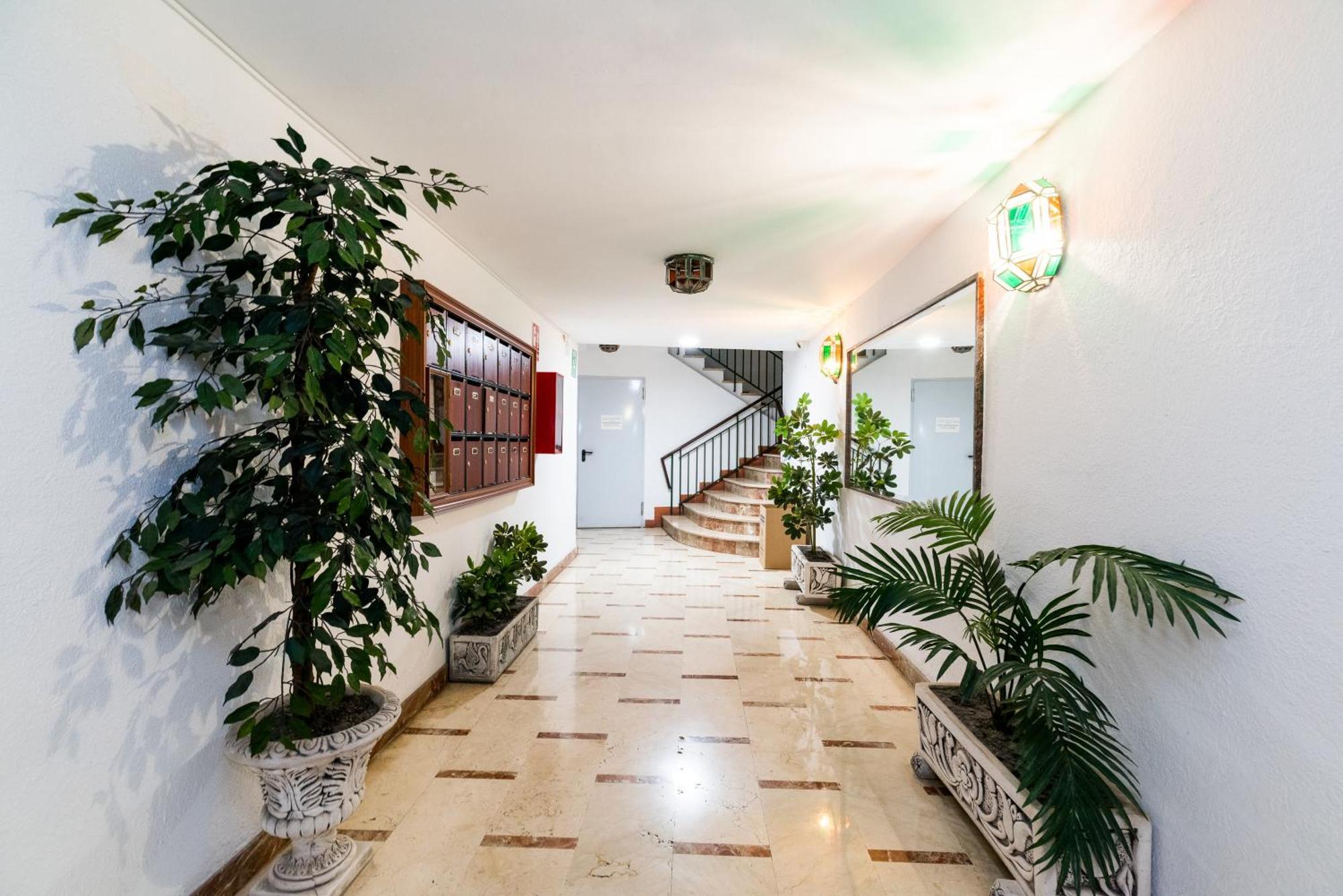 Piso Centro Apartamento