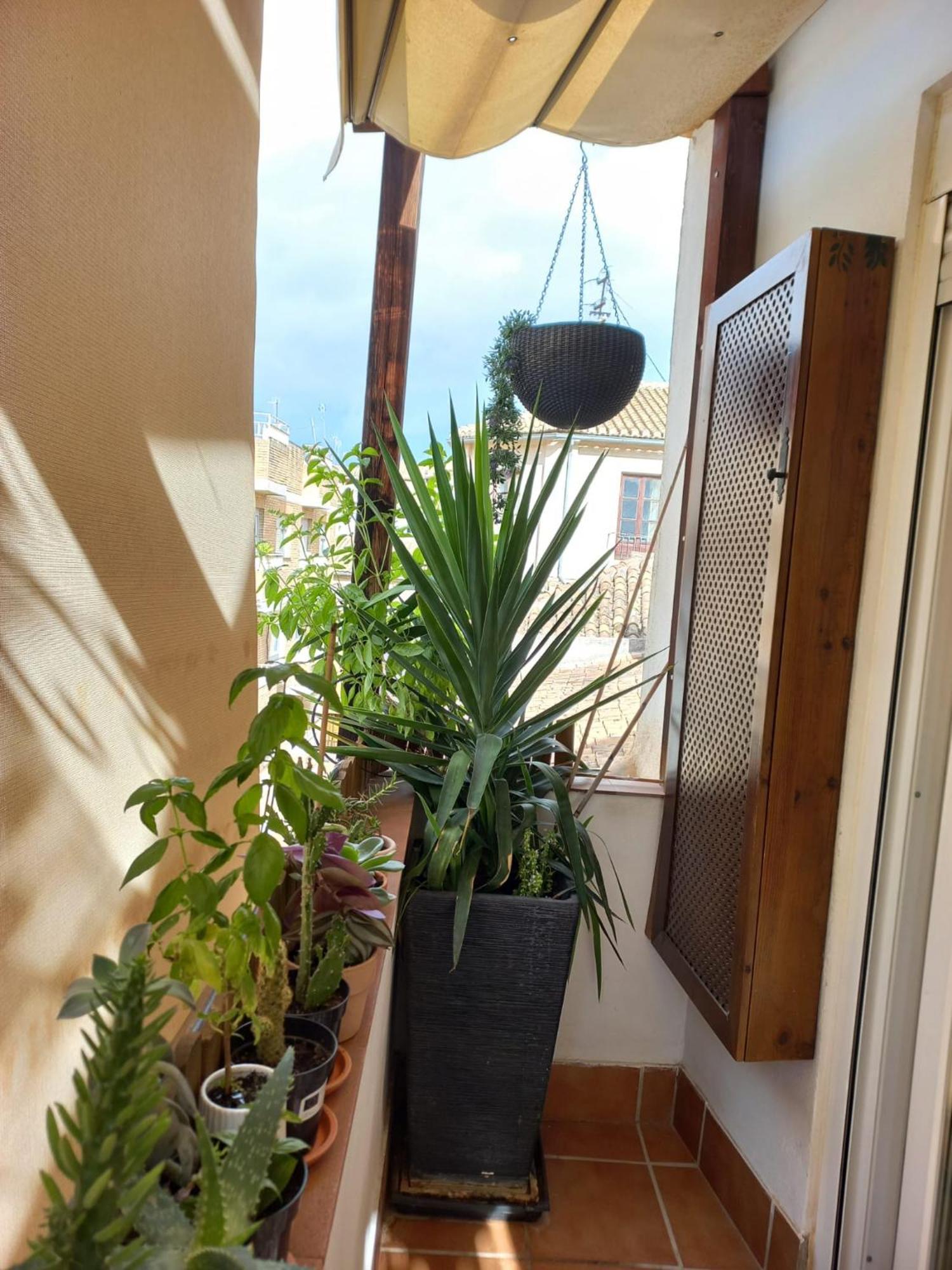 ático Exclusivo En El Centro De * Granada
