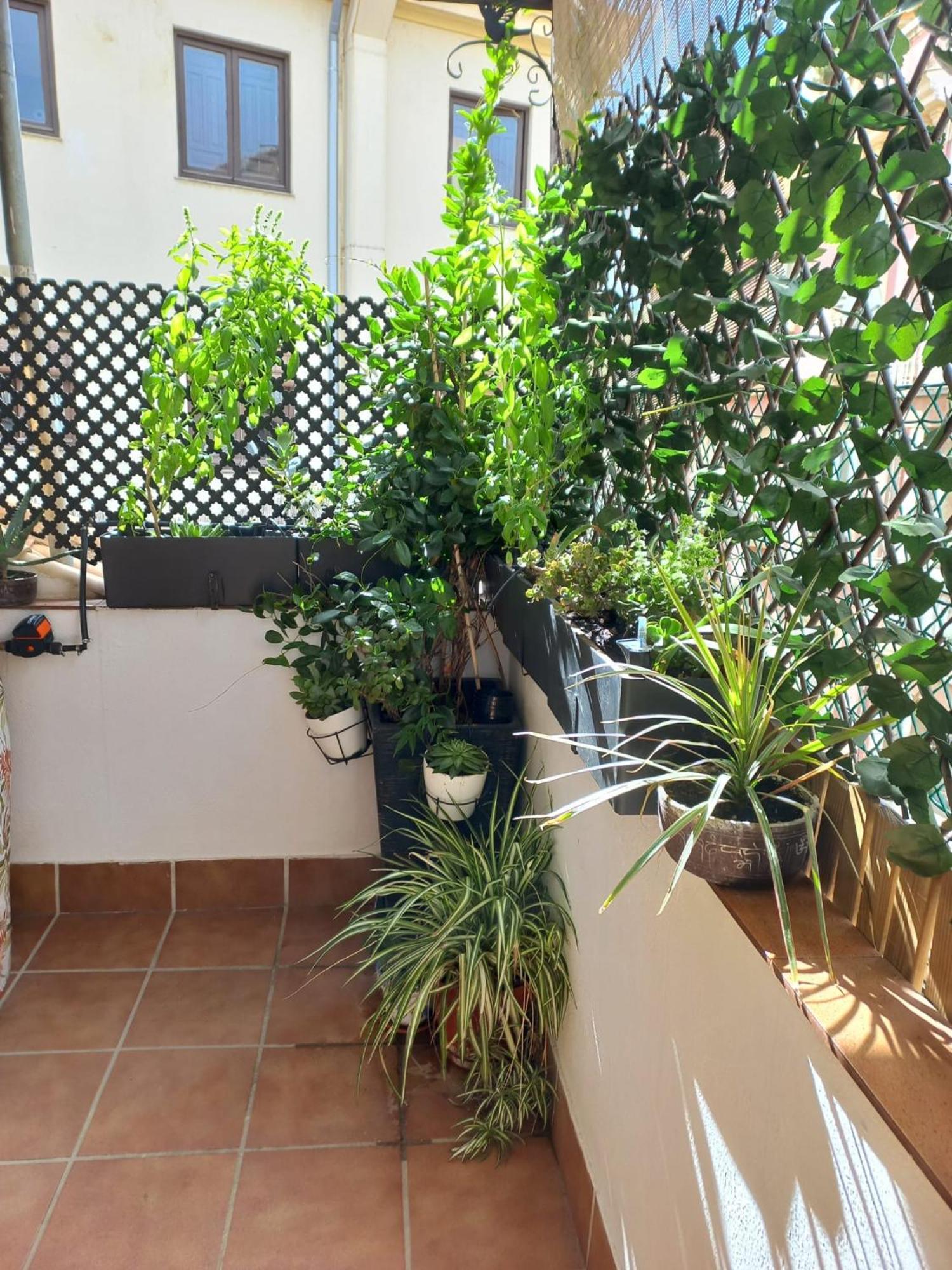 ático Exclusivo En El Centro De Apartamento Granada