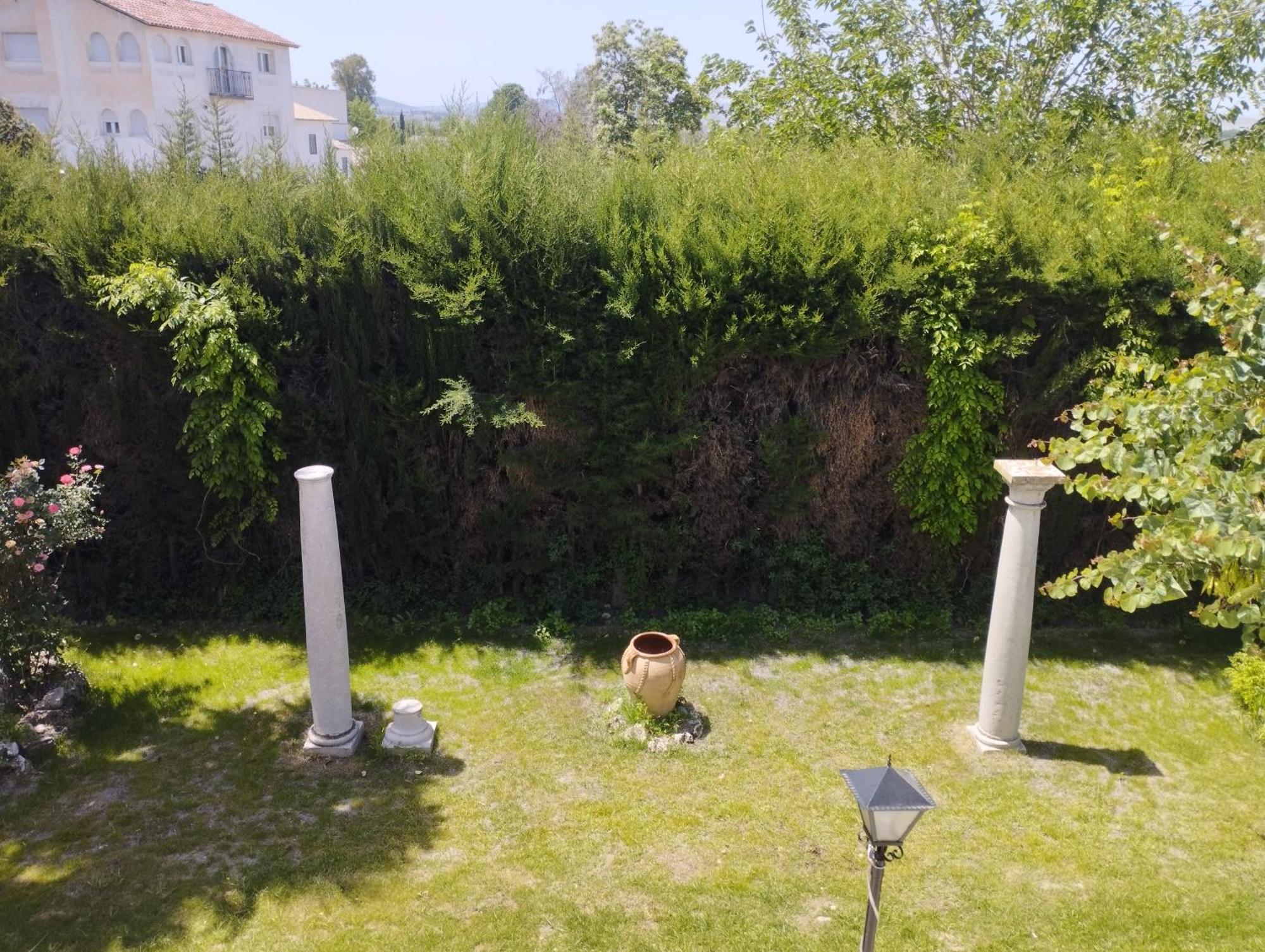 Huerta Del Medio