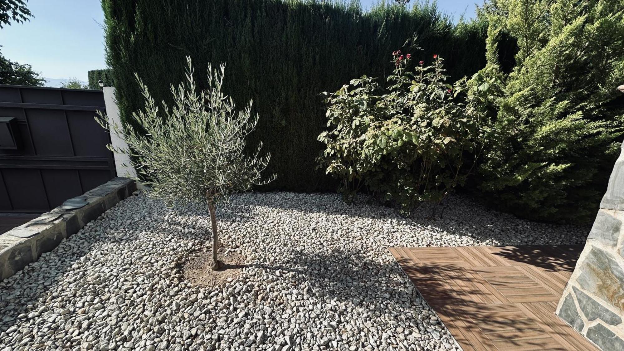 Extraordinaria Con Piscina Y Chimenea Granada