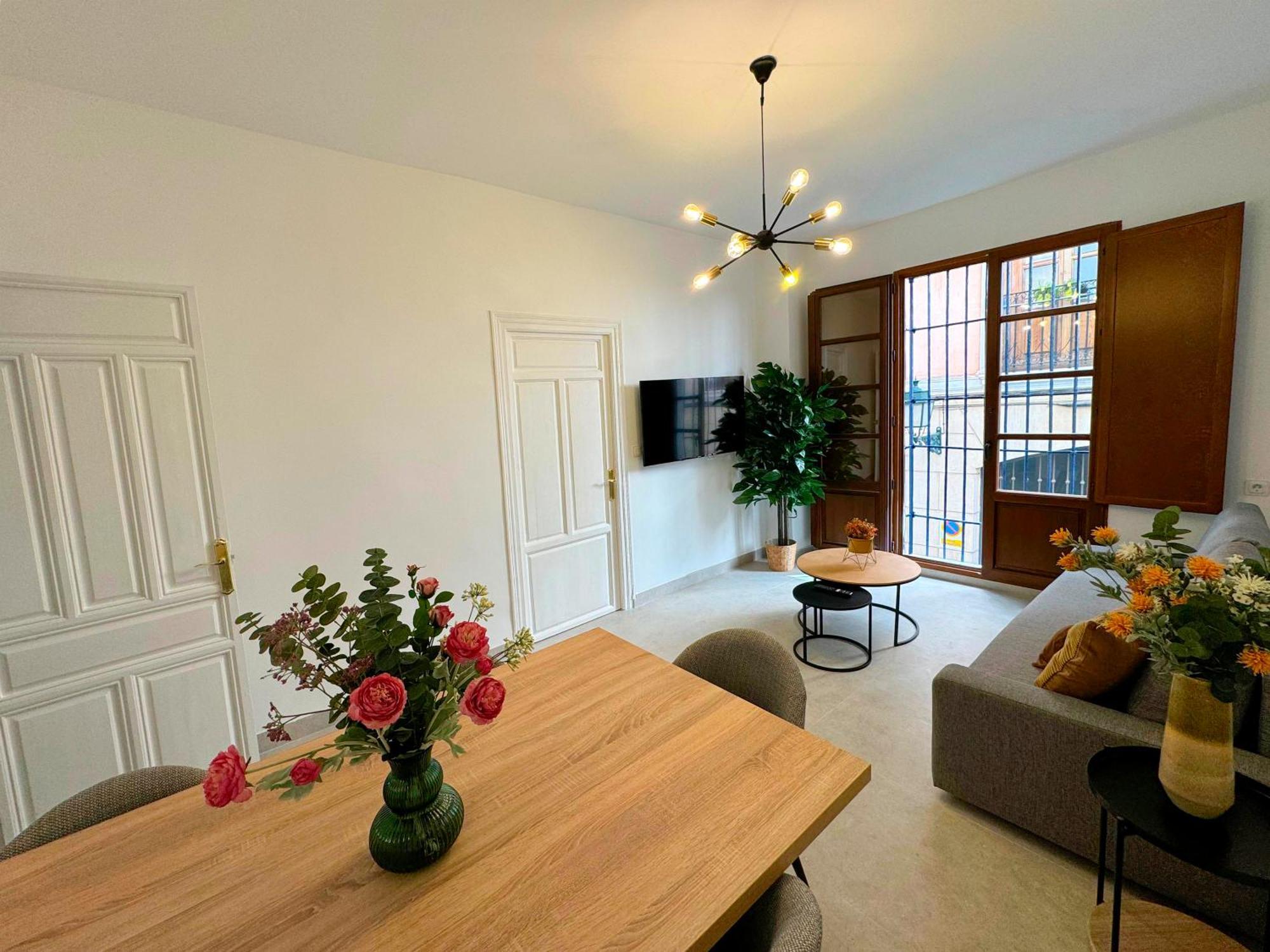 Apartment Plaza San Agustin 3000