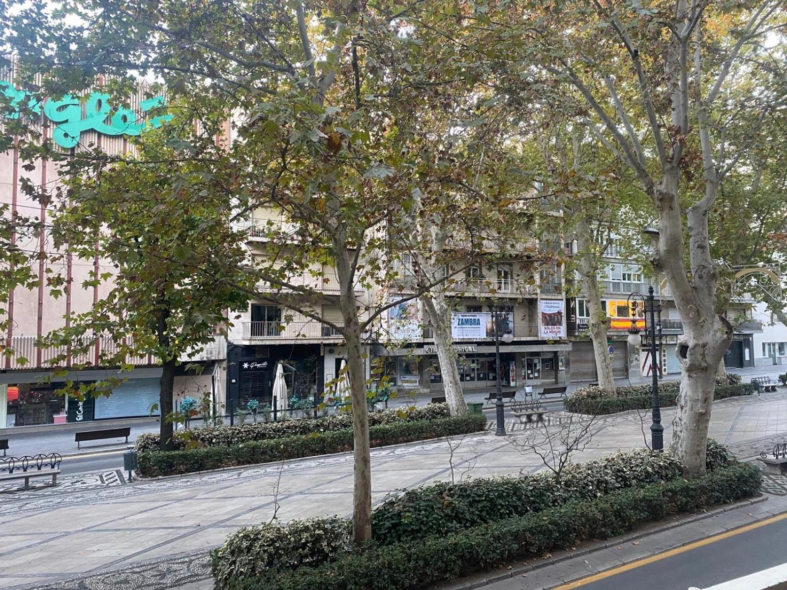 Apartamento La Carrera 5 Granada