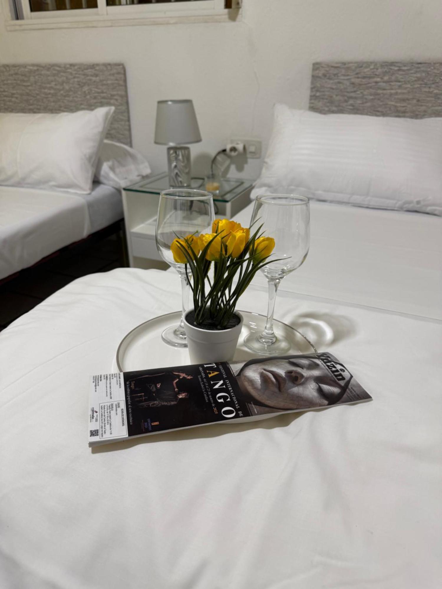 Muy Centrica. Homestay