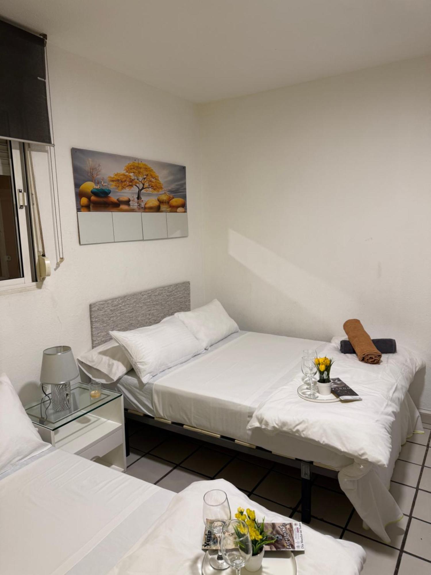 Homestay Muy Centrica.
