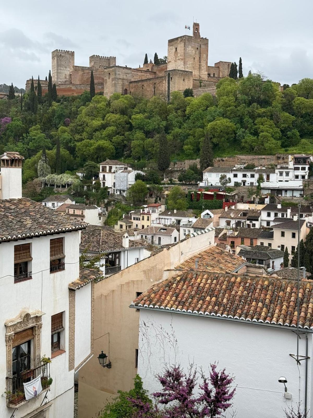 Apartamento Spectacular Alhambra View Roof Terrace Penthouse Granada