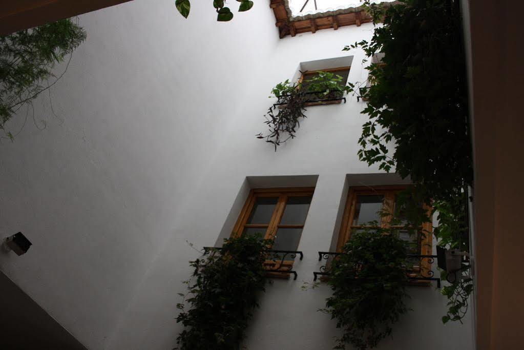 Jardines 2*