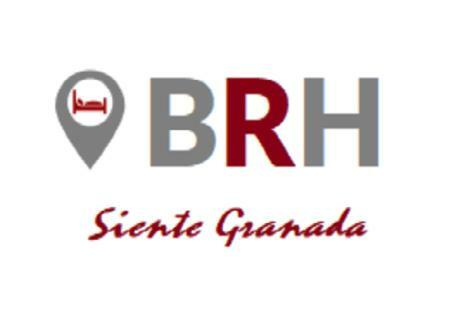Aparthotel Brh Afan De Ribera Granada
