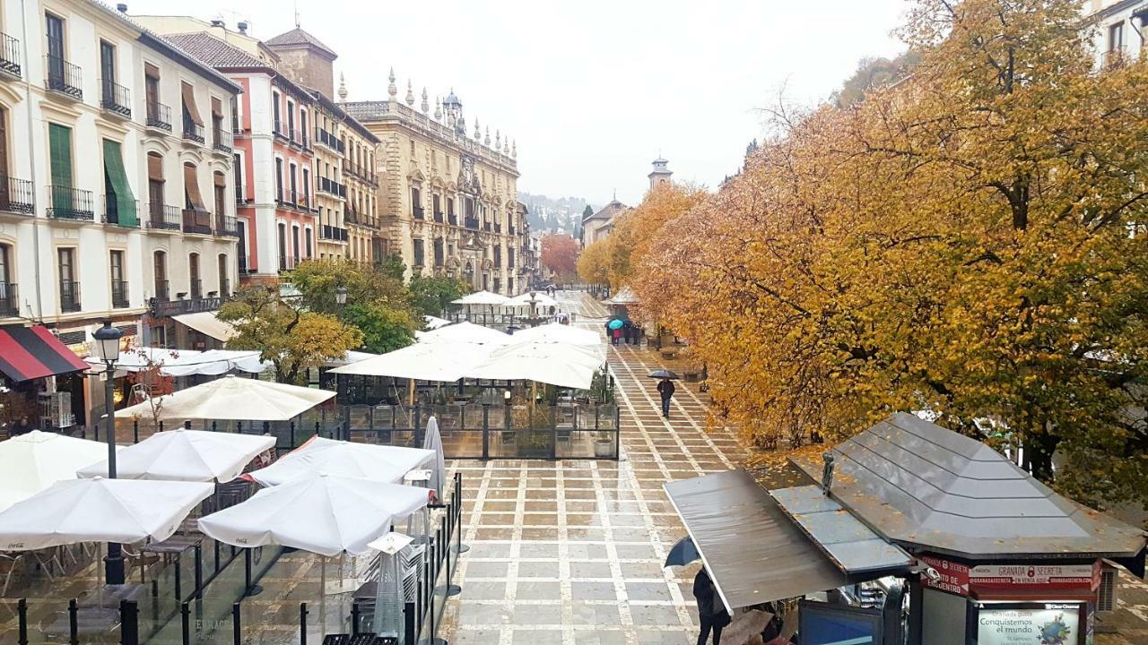 Luxury Plaza Nueva-alhambra *