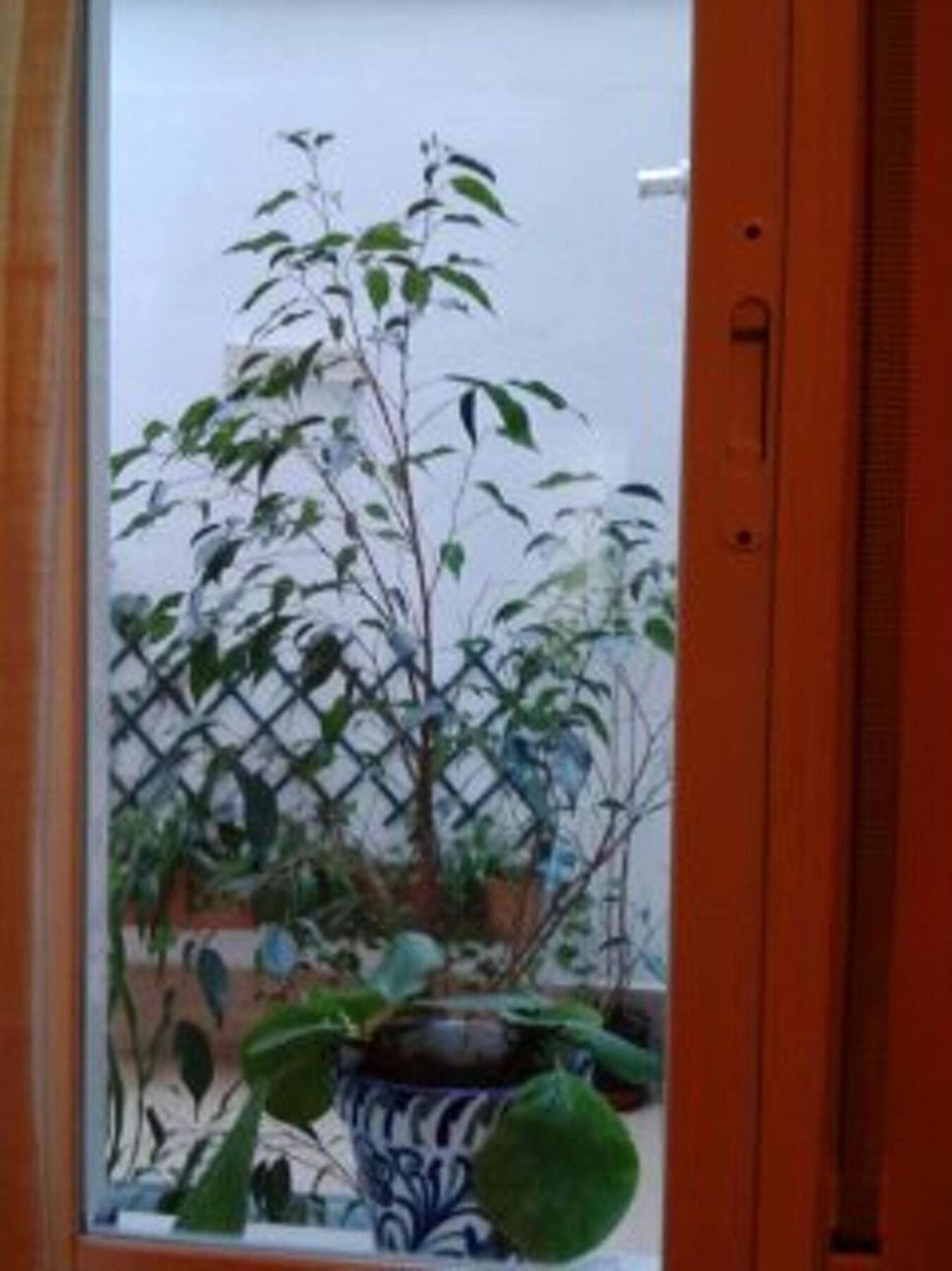 With 3 Bedrooms In Granada, With Wonderful View And Wif Granada